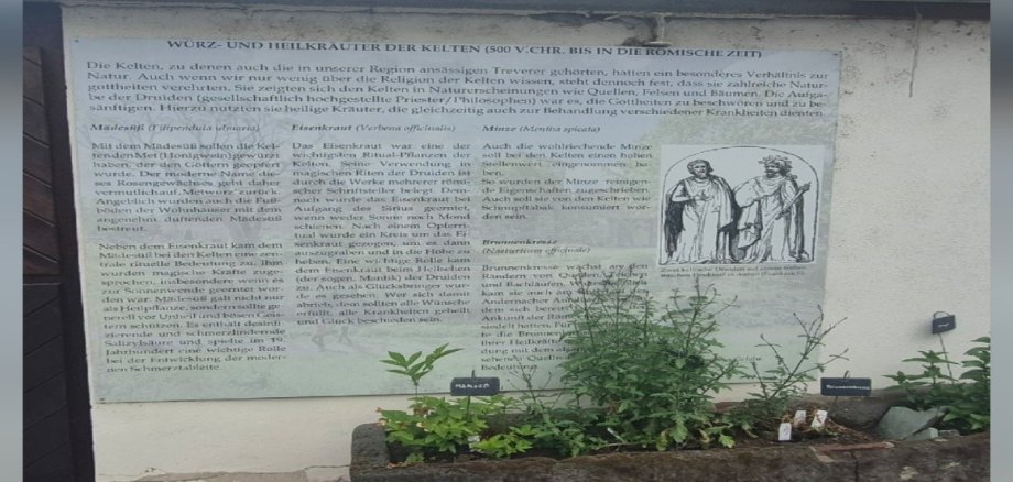 Kräutergarten_Museum Andernach