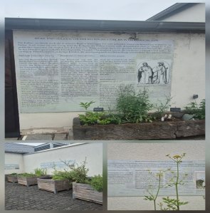 Kräutergarten_Museum Andernach Kräutergarten_Museum Andernach